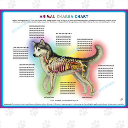 Animal Chakra Pendulum Charts | Dog, Cat or Horse – Marla Steele Pet Psychic
